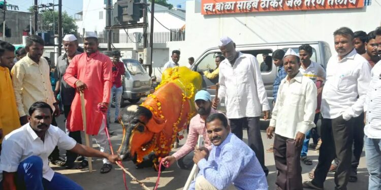 नंदनगरीच्या  गवळी समाजातर्फे शेकडो वर्षांची परंपरा कायम,मंगळवारी सगर उत्सवाचे आयोजन