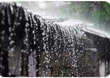 नंदुरबार जिल्ह्यात तीन दिवस पावसाची शक्यता