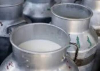 नंदूरबार शहरात 101 लिटर भेसळयुक्त दूध नष्ट