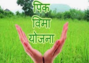 रब्बी हंगामासाठी प्रधानमंत्री पीक विमा योजनेचा लाभ घ्यावा