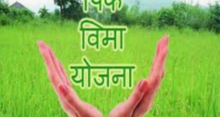 रब्बी हंगामासाठी प्रधानमंत्री पीक विमा योजनेचा लाभ घ्यावा