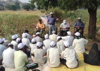 खोक्राळे येथे मिरची पीक शेतीशाळा