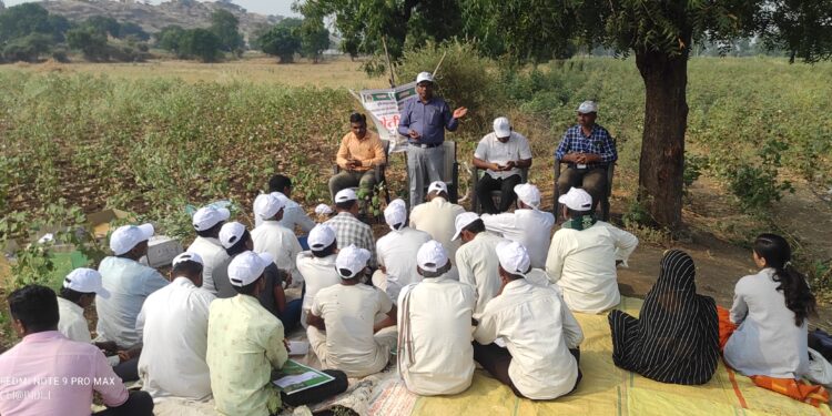 खोक्राळे येथे मिरची पीक शेतीशाळा