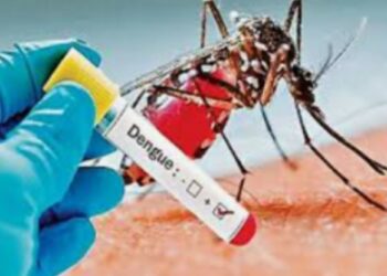 डेंग्यू व चिकुन गुनिया आजाराला प्रतिबंध करण्यासाठी नागरीकांनी सहकार्य करावे