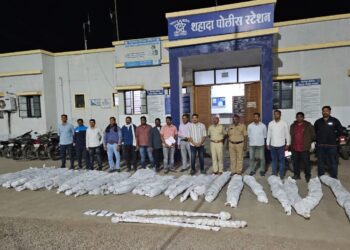 जिल्हा परिषदेच्या माजी सदस्याच्या शेतातून 18 लाखांचा गांजा जप्त करीत केली अटक