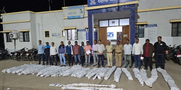 जिल्हा परिषदेच्या माजी सदस्याच्या शेतातून 18 लाखांचा गांजा जप्त करीत केली अटक