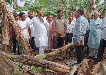 अवकाळी पावसात नुकसानग्रस्त शेतकऱ्यांना  मदतीसाठी शासनाकडे पाठपुरावा करणार : आदिवासी विकास मंत्री डॉ. विजयकुमार गावित
