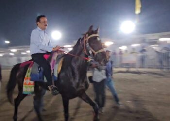 सांरगखेड्याचा अश्व महोत्सव देशात आगळावेगळा : गिरीश महाजन