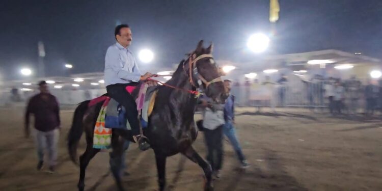 सांरगखेड्याचा अश्व महोत्सव देशात आगळावेगळा : गिरीश महाजन