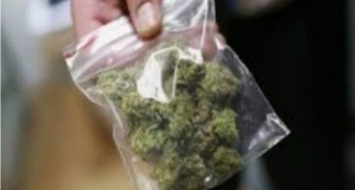 गांजाची अवैध वाहतूक करणाऱ्याचा प्रयत्न करणारे दोन ताब्यात, वाहनासह तीन लाखांचा मुद्देमाल जप्त