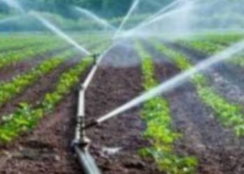 प्रति थेंब अधिक पिक सुक्ष्म सिंचन योजनेसाठी शेतकऱ्यांनी अर्ज करावेत : सी.के. ठाकरे