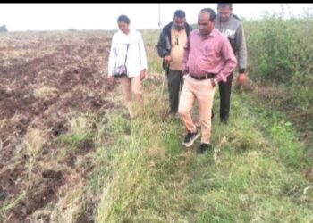 कन्साई परिसरात बिबट्याचा वावर