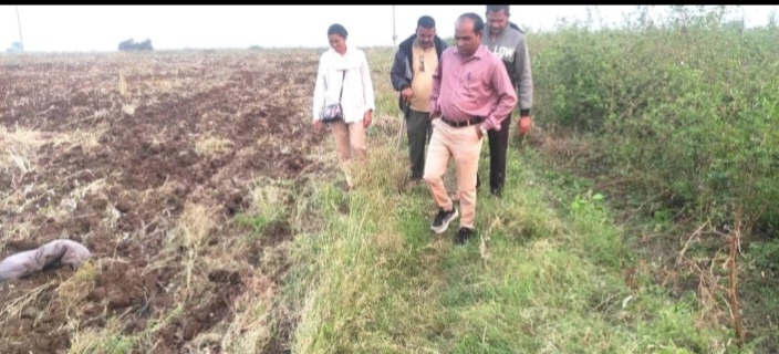 कन्साई परिसरात बिबट्याचा वावर