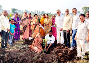 काकर्दे ग्रामपंचायतीतर्फे ग्रामस्थांना 108 रोपांचे वाटप, स्मशानभूमी परिसरात वृक्ष लागवड करुन संगोपनाची घेतली जबाबदारी