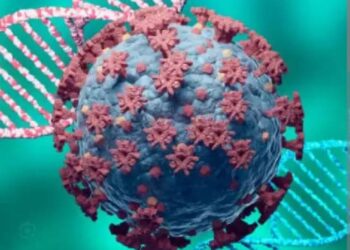 नंदुरबार जिल्ह्यात कोरोनाच्या जेएन-1 व्हेरियंटबाबत नागरिकांनी सतर्कता बाळगावी