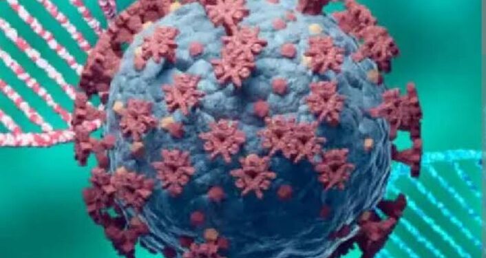 नंदुरबार जिल्ह्यात कोरोनाच्या जेएन-1 व्हेरियंटबाबत नागरिकांनी सतर्कता बाळगावी