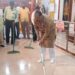 मंत्री डॉ. विजयकुमार गावित यांनी स्वतः केली विविध मंदिरात स्वच्छता; पंतप्रधानांची राबवली संकल्पना