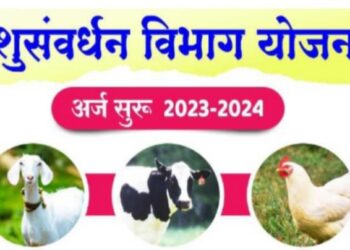 पशुपालक व शेतकऱ्यांनी पशुसंवर्धन प्रशिक्षण शिबीरासाठी नांव नोंदणी करावी : उ. दे. पाटील