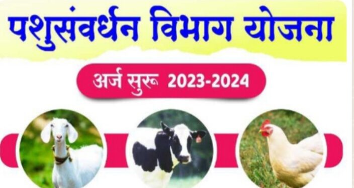 पशुपालक व शेतकऱ्यांनी पशुसंवर्धन प्रशिक्षण शिबीरासाठी नांव नोंदणी करावी : उ. दे. पाटील