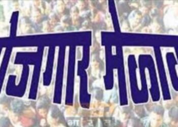 आज होणार रोजगार मेळावा : विजय रिसे