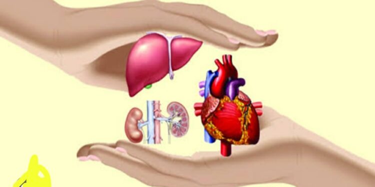 खान्देश अवयवदान प्रबोधन रथयात्रेचे  बुधवारी नंदुरबार जिल्ह्यात आगमन