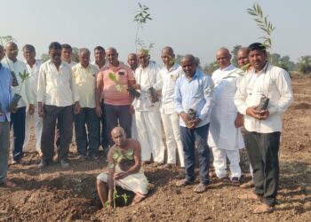 दशक्रिया विधीनिमित्त काकर्देच्या स्मशानभूमीत वृक्षारोपण, माळी कुटुंबीयांचा अनोखा उपक्रम