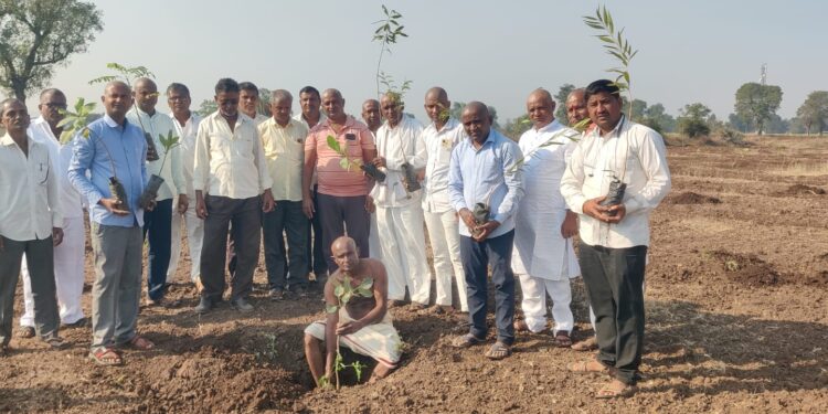 दशक्रिया विधीनिमित्त काकर्देच्या स्मशानभूमीत वृक्षारोपण, माळी कुटुंबीयांचा अनोखा उपक्रम
