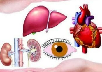 अवयवदान प्रक्रियेसाठी नंदुरबारला वैद्यकीय महाविद्यालयात सुविधा होण्याची एकमुखी मागणी