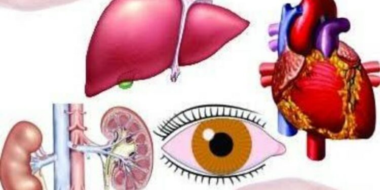 अवयवदान प्रक्रियेसाठी नंदुरबारला वैद्यकीय महाविद्यालयात सुविधा होण्याची एकमुखी मागणी