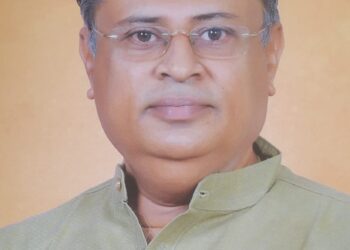 सरदार वल्लभभाई पटेल जयंतीदिनी राष्ट्रीय सुटी जाहीर करण्यात यावी , भाजपाचे जिल्हा उपाध्यक्ष प्रा.मकरंद पाटील यांची केंद्र सरकारकडे मागणी