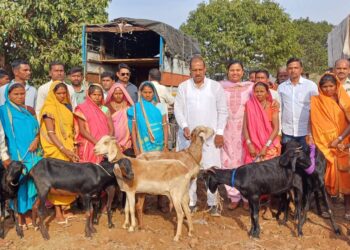 धडगाव व अक्कलकुवा तालुक्यात २ हजार गाईंचे वितरण करणार : डॉ. विजयकुमार गावित