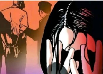 बालिकेचा विनयभंग, आरोपीस न्यायालयाने ठोठावली 4 वर्षे कारावासाची शिक्षा