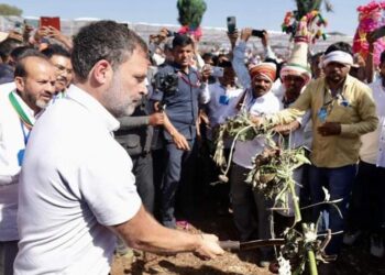 आदिवासी हेच देशाचे मुळ मालक : खा.राहुल गांधी