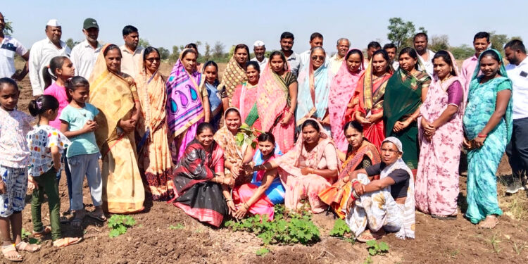 काकर्देत जागतिक महिला दिनानिमित्त स्मशानभूमीत 500 रोपांचे वृक्षारोपण