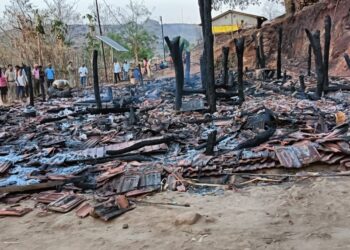 बर्डीचा पाटीलपाडा येथे भीषण आग, घरांसह तीन बैल जाळून खाक