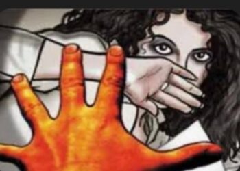 बालिकेचा विनयभंग करणाऱ्या आरोपीस  न्यायालयाने ठोठावली 12 वर्षाची शिक्षा