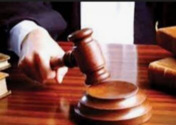 शासकीय कामात अडथळा करणाऱ्यास न्यायालयाने ठोठावला दोन वर्ष सश्रम कारावास