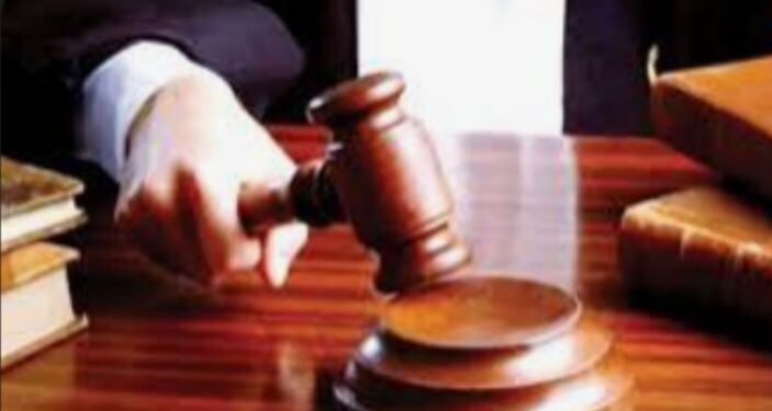 शासकीय कामात अडथळा करणाऱ्यास न्यायालयाने ठोठावला दोन वर्ष सश्रम कारावास