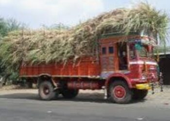 जिल्ह्यातील उत्पादित चारा जिल्ह्याबाहेर वाहतुकीस बंदी