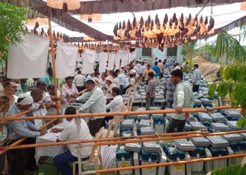 मतदान केंद्राच्या 100 मीटर परिसरात मोबाईल घेऊन जाण्यास बंदी : मनीषा खत्री