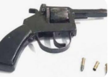 गावठी पिस्तुल व दोन जिवंत काडतूसांसह दोघांना अटक