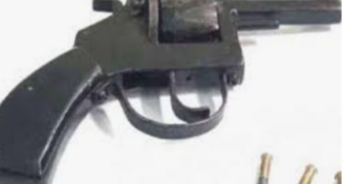 गावठी पिस्तुल व दोन जिवंत काडतूसांसह दोघांना अटक