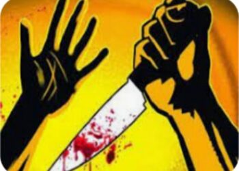 नंदुरबारजवळ सलमानसह शाहरुख खानवर चाकु हल्ला