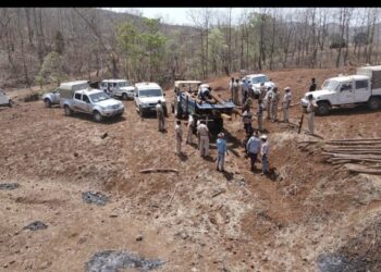 तोरणमाळ परिसरात ११ लाखांचे सागवानी लाकूड जप्त; वन विभागाकडून पहिल्यांदा ड्रोनचा वापर