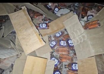 ट्रॉलीमधील दारू रस्त्यावर विखुरली, मद्यप्रेमींनी खोके लुटले, ट्रॅक्टर चालकाचा जागीच मृत्यू