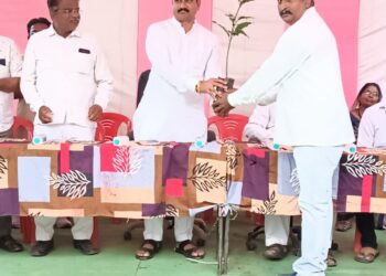 मंदाणे येथे ६ हजार २०० आंब्यांच्या रोपांचे वाटप