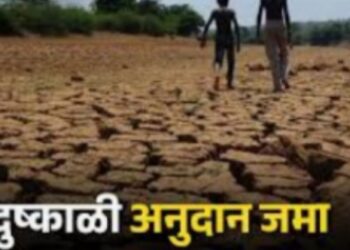 28 हजार 358 शेतकऱ्यांच्या बँक खात्यात अनुदान जमा