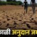 28 हजार 358 शेतकऱ्यांच्या बँक खात्यात अनुदान जमा