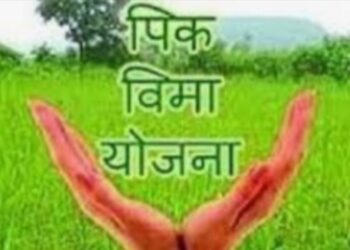 पिक विमा भरण्यास 31 जुलै पर्यंत मुदतवाढ