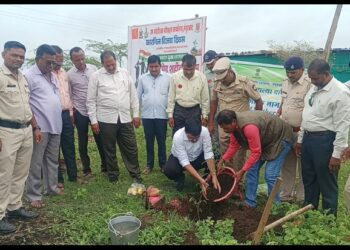 कारगिल विजय दिवसानिमित्त उपप्रादेशिक परिवहन कार्यालयातर्फे 1001 वृक्षांची लागवड